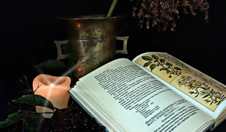 Open book with botanical illustrations on a dark wooden surface, a lit candle, and dried herbs, suggesting study and guidance on avian medications.