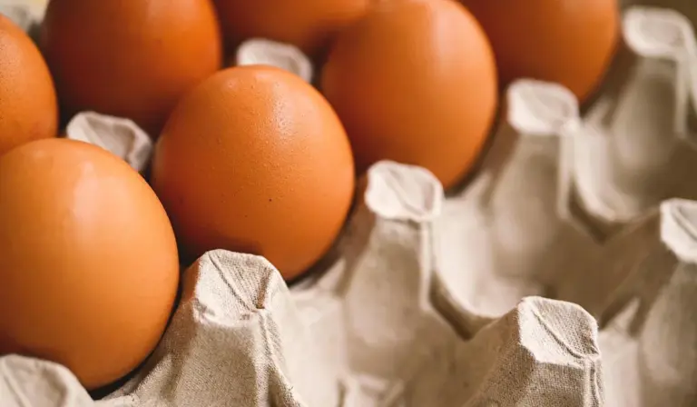 Close-up of brown eggs in a cardboard egg carton