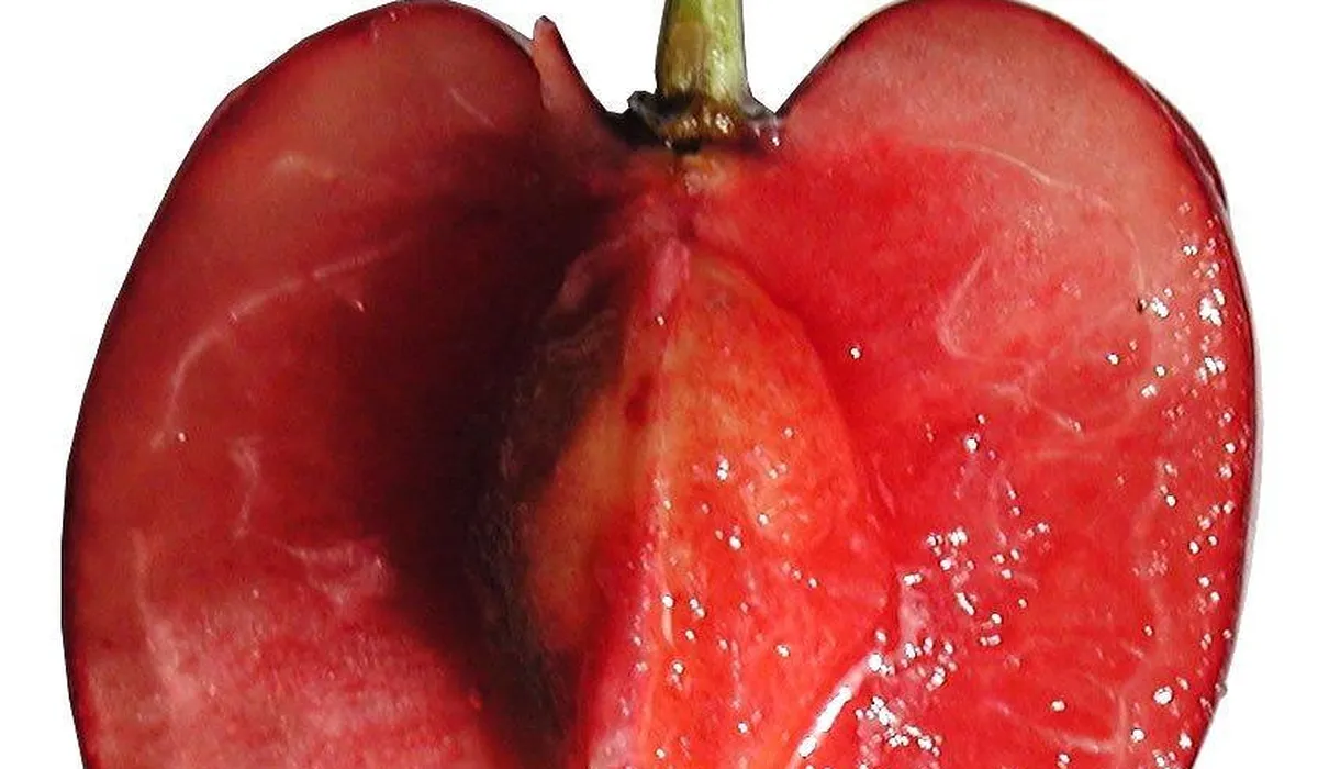 Close-up of a halved red cherry, showing glossy flesh and a central hollow where the pit would be, with the stem at the top.