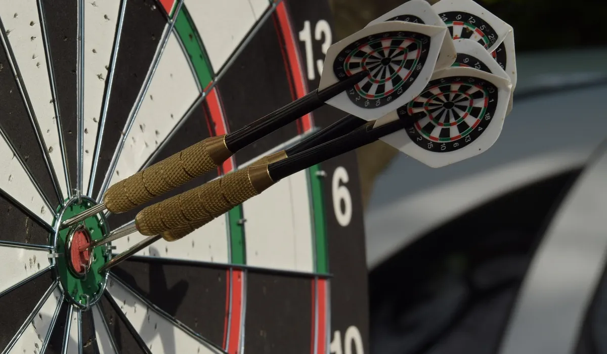 A dartboard with two darts embedded in the board, illustrating the idea of target training equipment.