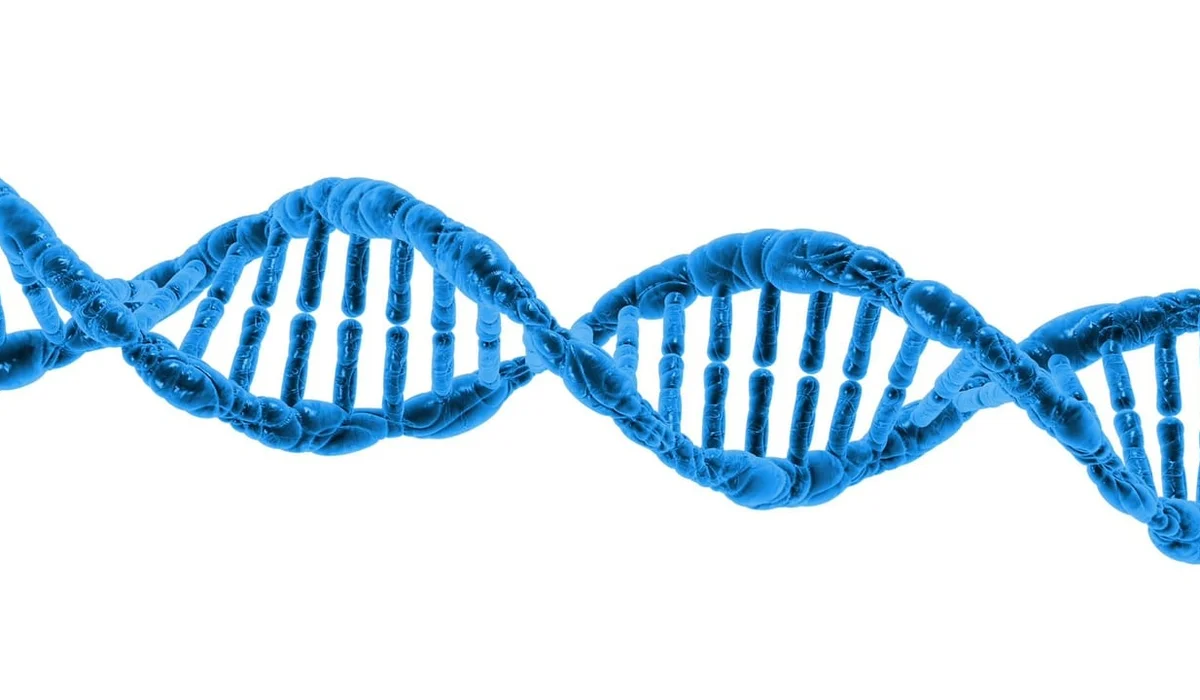 Blue DNA double helix against a white background