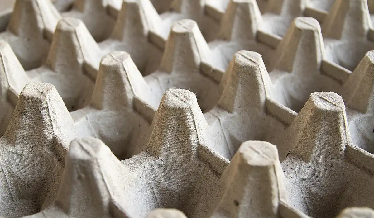 Close-up of a cardboard egg carton with multiple empty slots