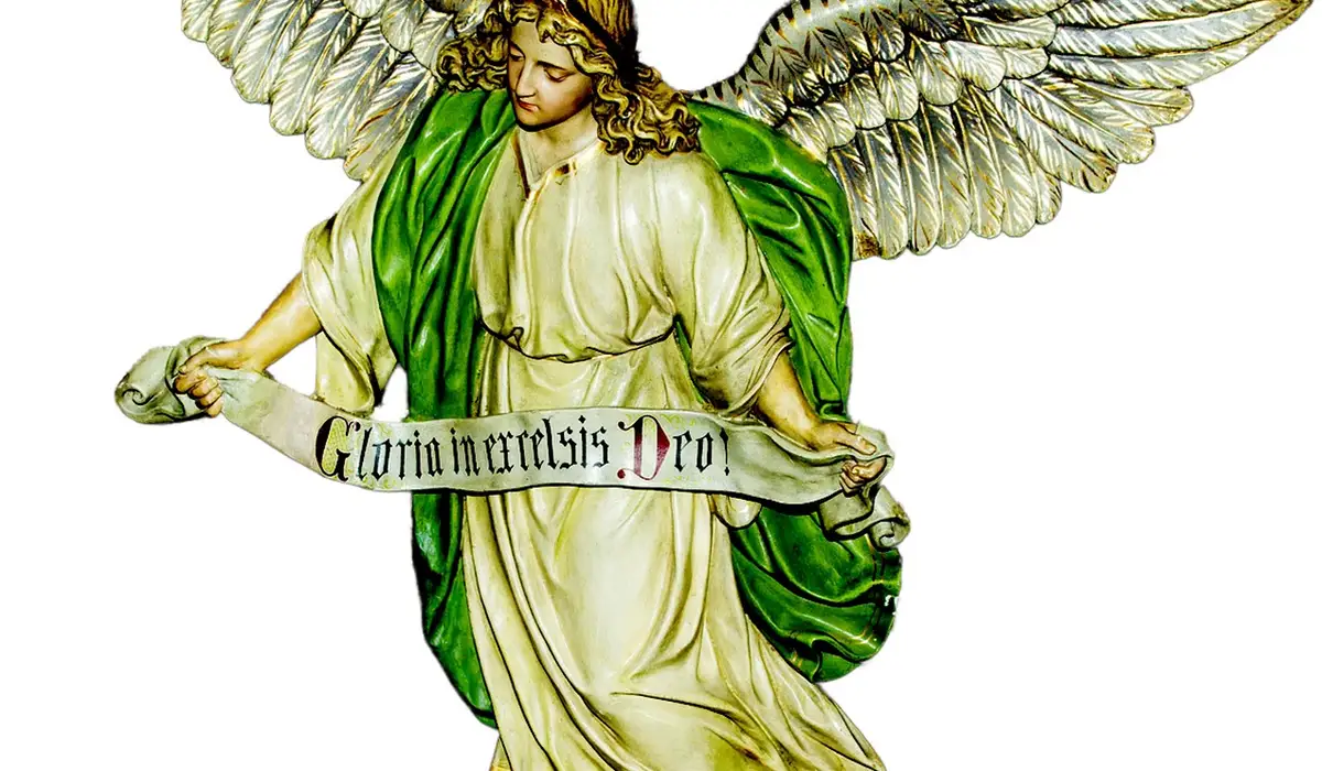 Illustration of a guardian angel holding a scroll banner, symbolizing a protective backup plan for a parrot.