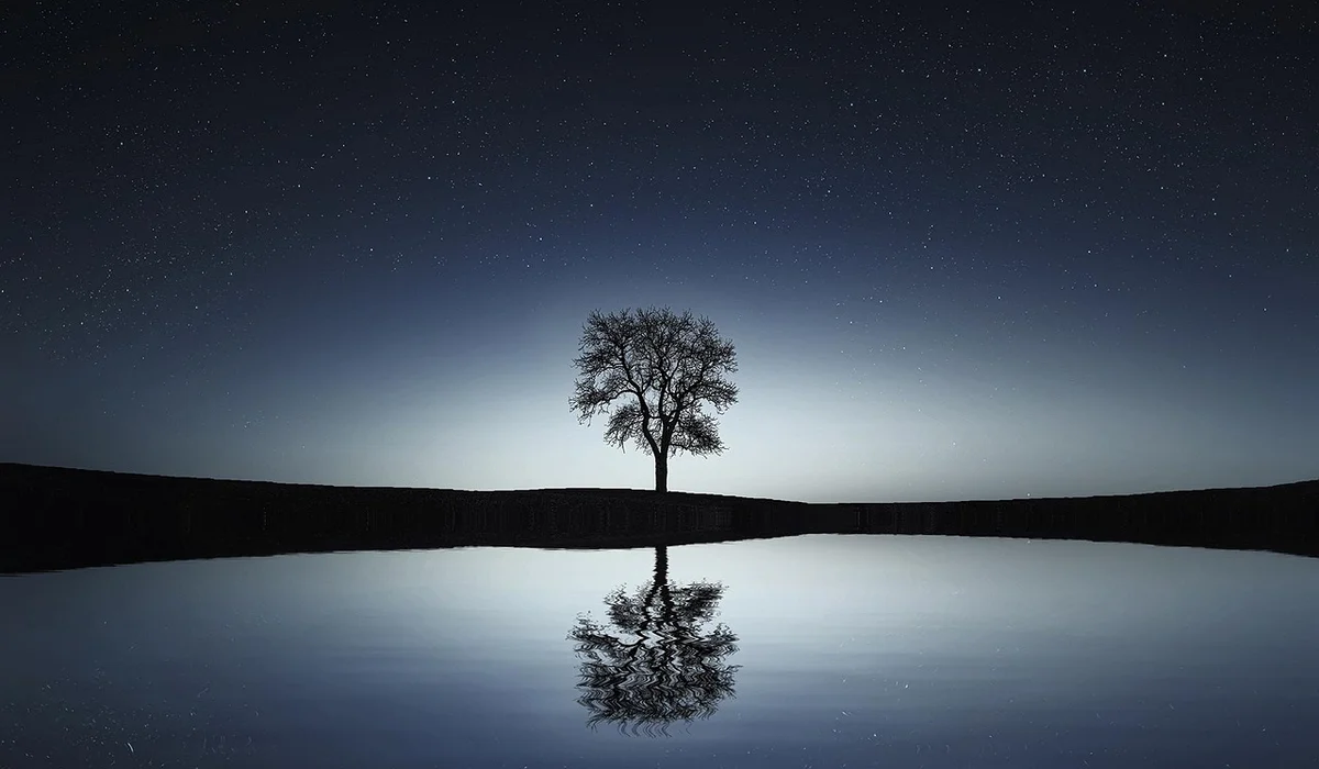 Silhouette of a lone tree on a small hill reflected in a calm body of water under a starry night sky.
