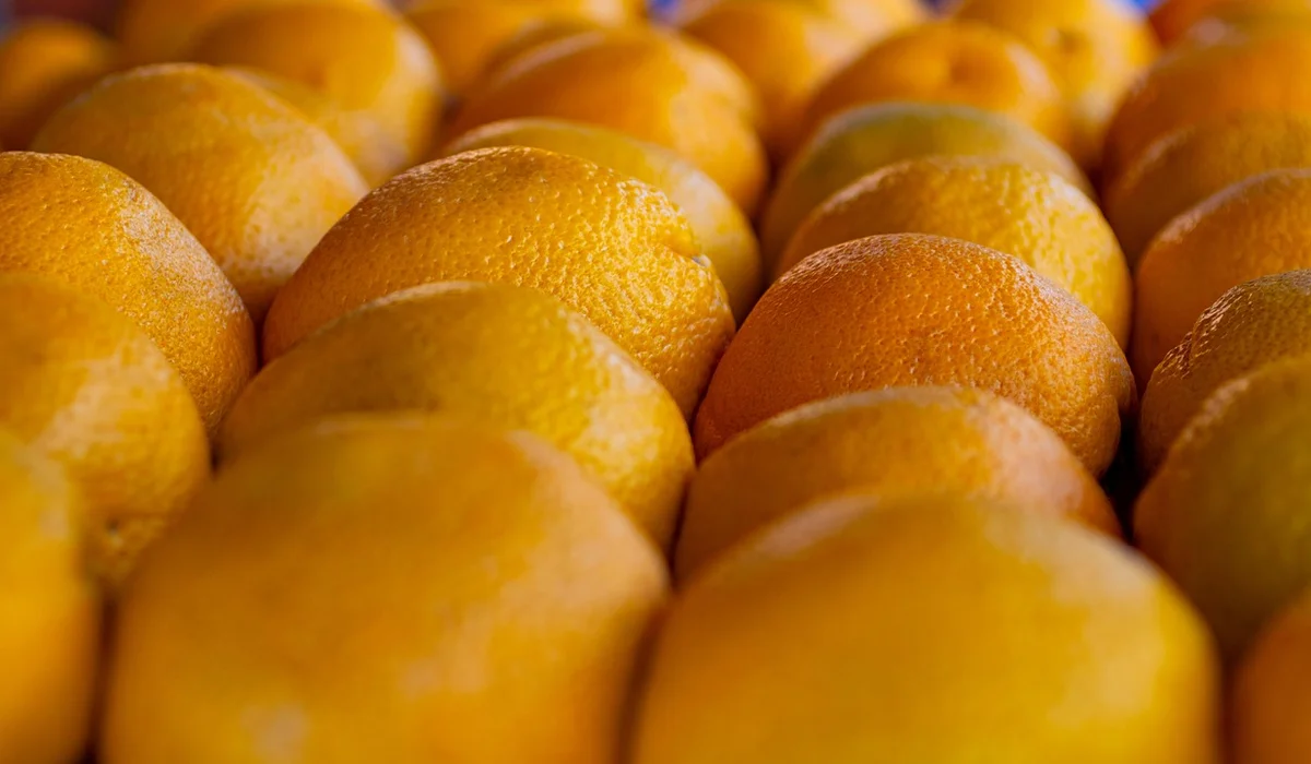 Close-up of bright yellow lemons arranged in neat rows