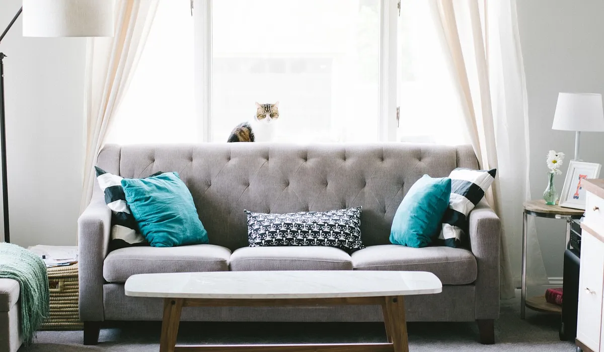 Cozy living room with a gray tufted sofa, teal cushions, a white coffee table, and a cat perched on the sunny window sill behind the sofa.