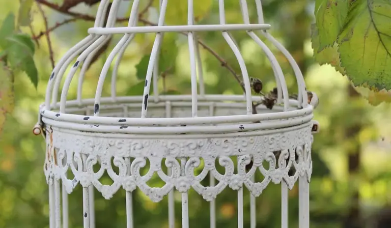 Decorative white metal birdcage outdoors among green leaves