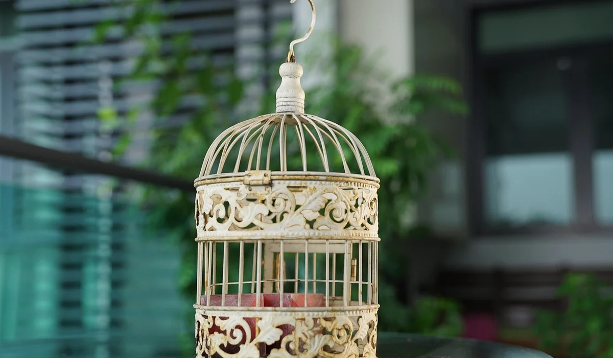 Ornate cream-colored hanging bird cage with intricate scrollwork, set outdoors with a blurred green garden backdrop.