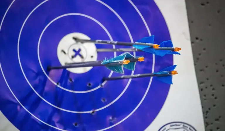 Close-up of a blue-and-white circular target with several blue darts embedded near the bullseye.