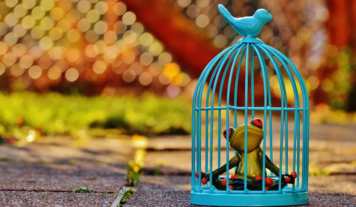 Turquoise blue parrot cage with a small green parrot inside and a decorative bird on top, set against a colorful blurred background.