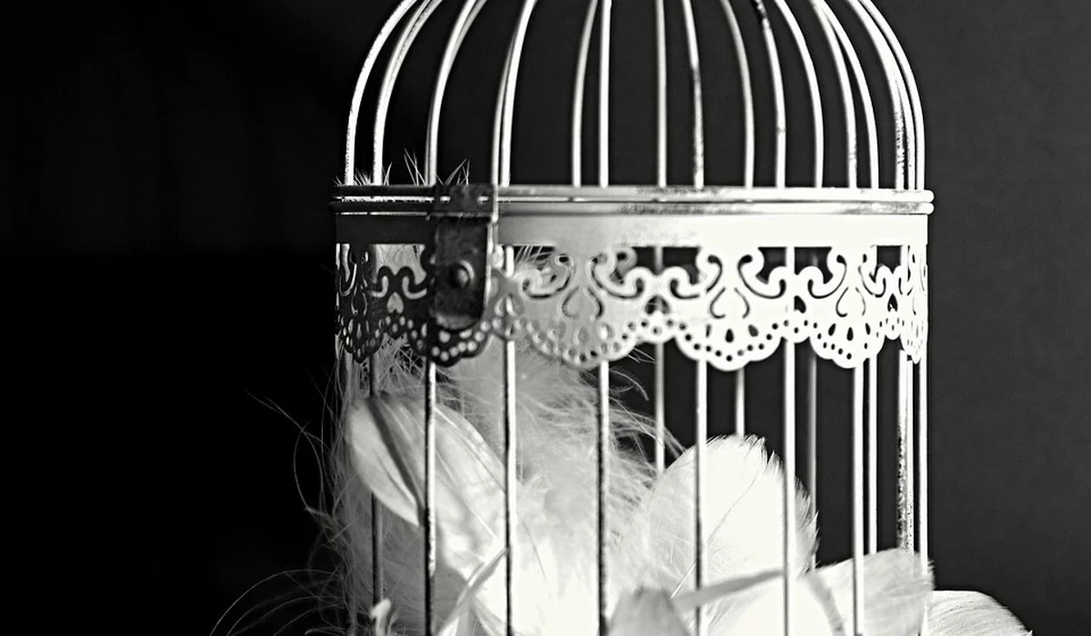 A black-and-white photograph of a small ornate metal bird cage with curved bars and decorative trim, containing white feathers inside.