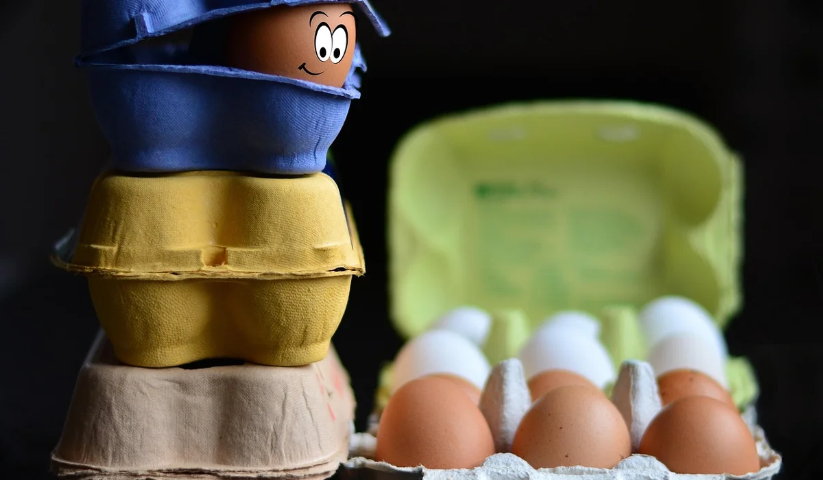 Cartoon parrot figure peeking from stacked egg cartons with a tray of eggs in the background.