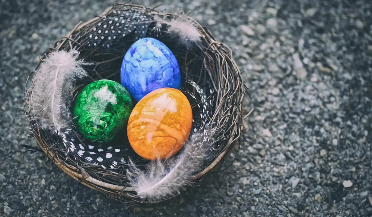 A small woven nest with three brightly colored eggs (green, blue, orange) resting on a gravel surface.