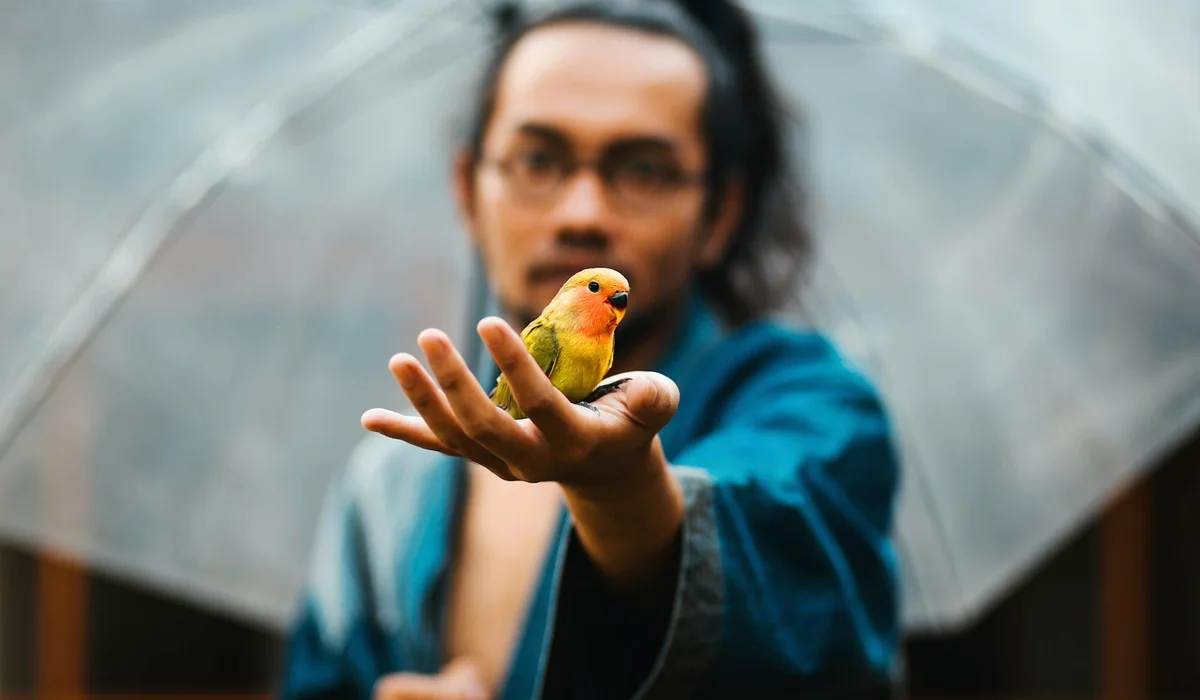 A small yellow-green parrot perched on a person's fingertip, with the person extending their hand beneath a translucent umbrella.