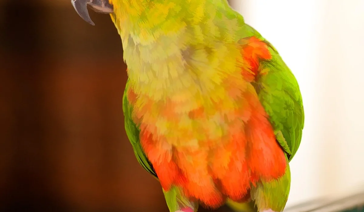 Close-up of a vibrant green and orange parrot indoors
