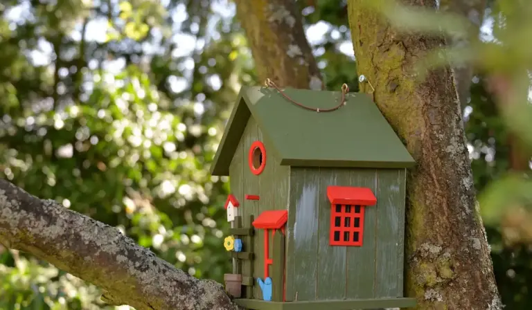 A green wooden nesting box with red accents mounted on a tree branch.