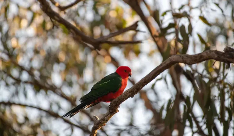 A red-headed parrot with green wings perched on a branch among trees.