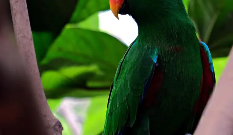 Green parrot with a red beak perched among tropical leaves