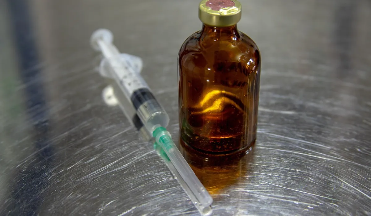 A brown glass medicine bottle and a syringe on a stainless steel surface, suggesting veterinary treatment for a parrot.