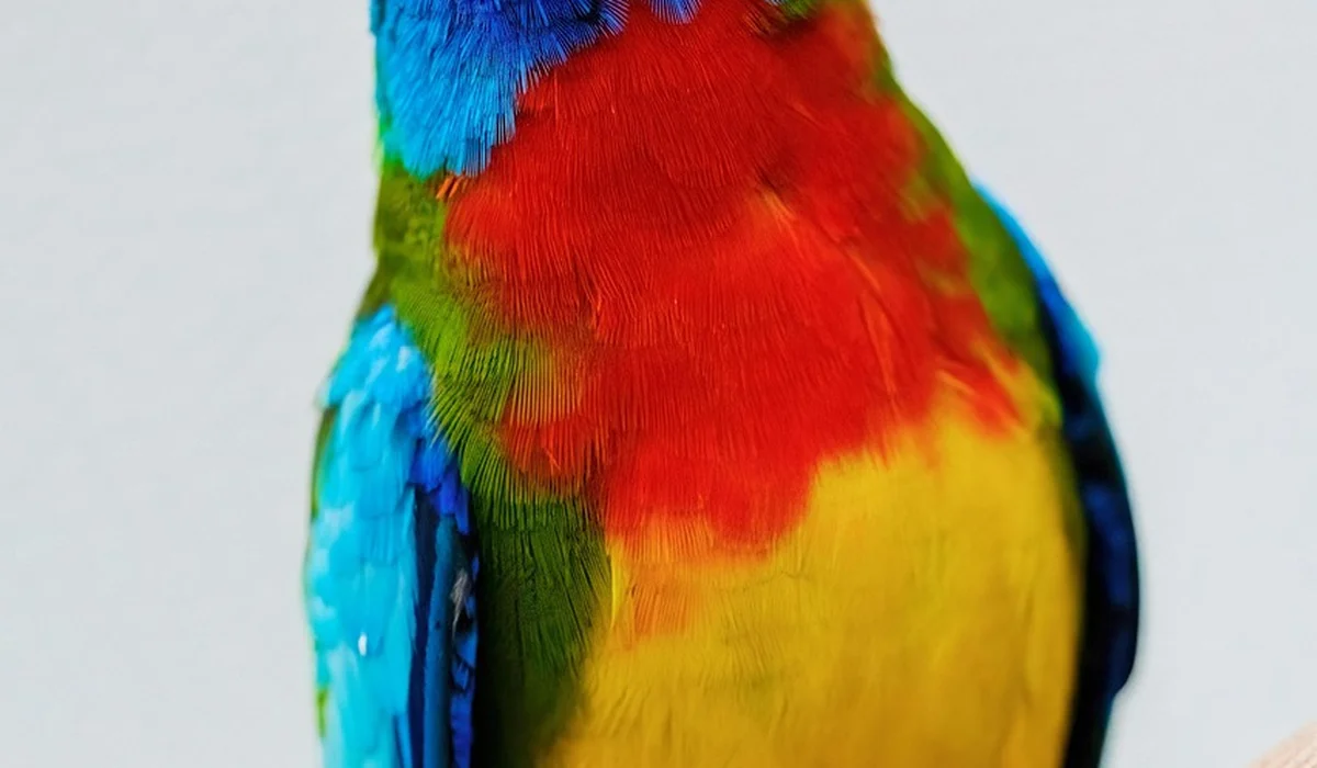 Close-up of a colorful parrot with red, blue, green, and yellow feathers.