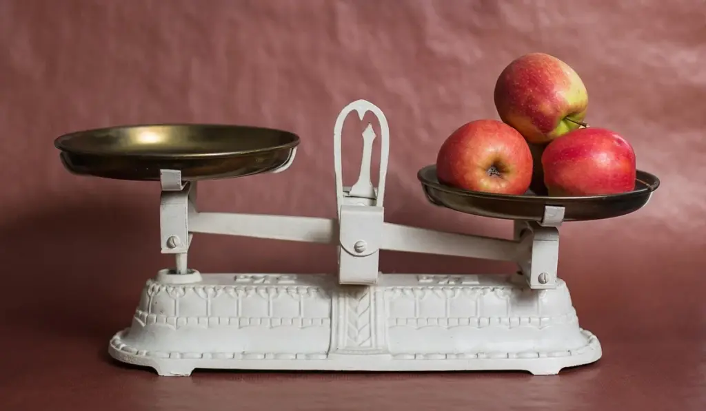 Parrot Weight Management: Healthy Ranges and Obesity Prevention