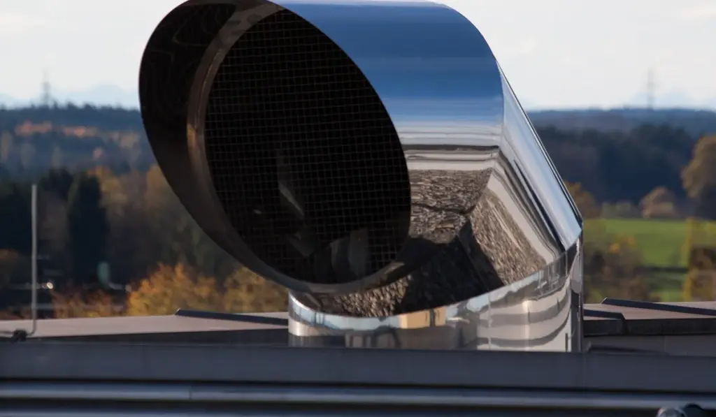 Choosing the Best Air Purifier for Your Parrot’s Home