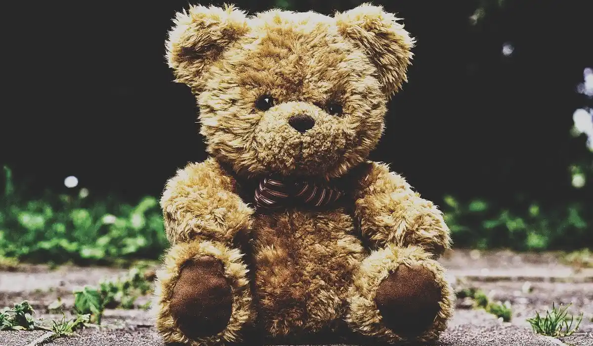 A plush teddy bear sits on a paved surface outdoors with green plants in the blurred background.