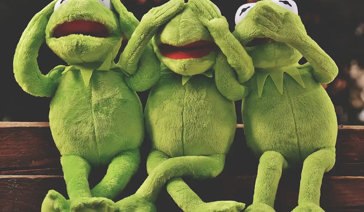 Three green frog plush toys sitting on a wooden bench